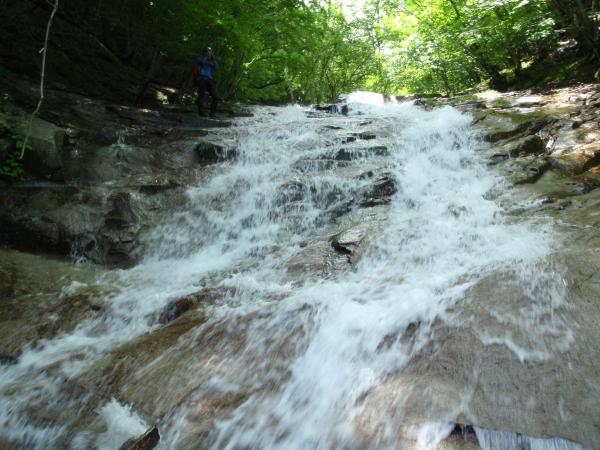 わりと勢いあります。